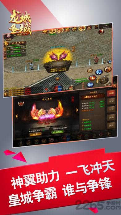 龙城圣域官方版手游下载,龙城圣域,传奇手游,挂机手游