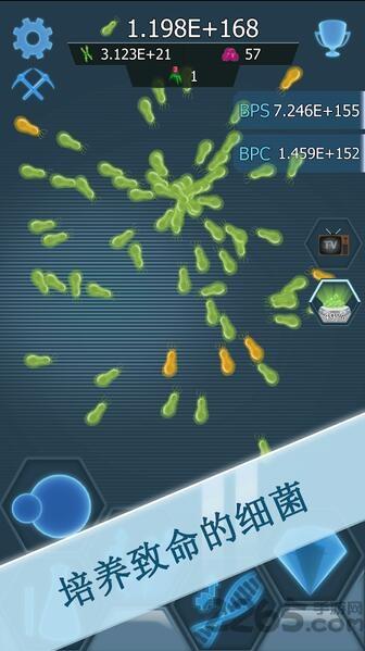 瘟疫细菌内购破解版下载,瘟疫细菌,策略游戏,经营游戏